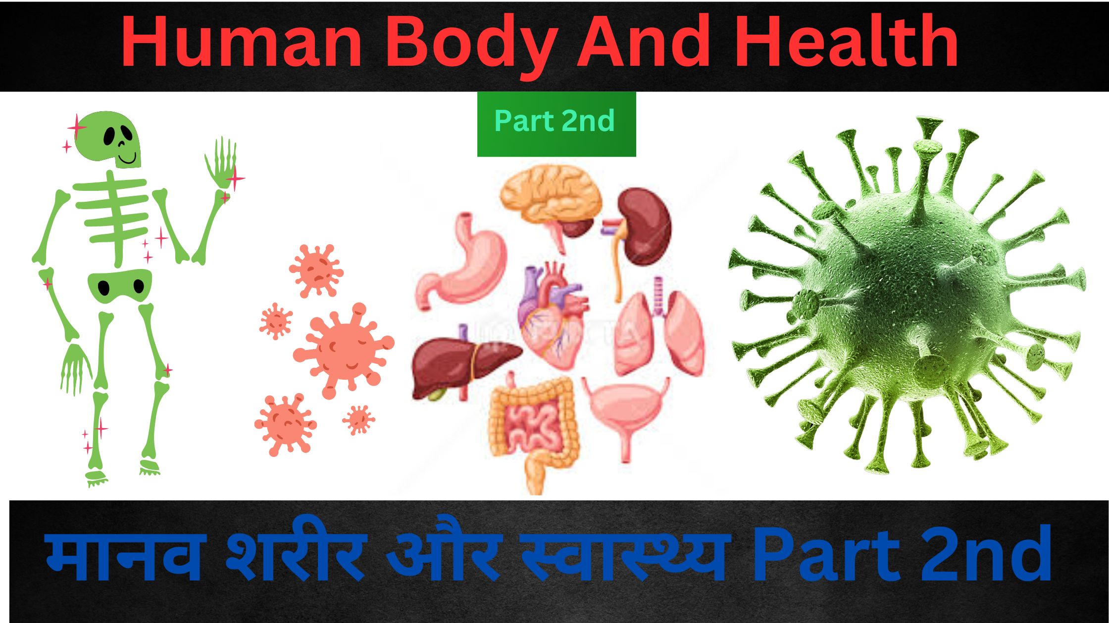 Human Body And Health