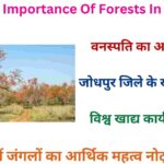 Economic Importance Of Forests In Rajasthan