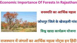 Economic Importance Of Forests In Rajasthan
