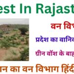 Forest In Rajasthan