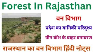 Forest In Rajasthan