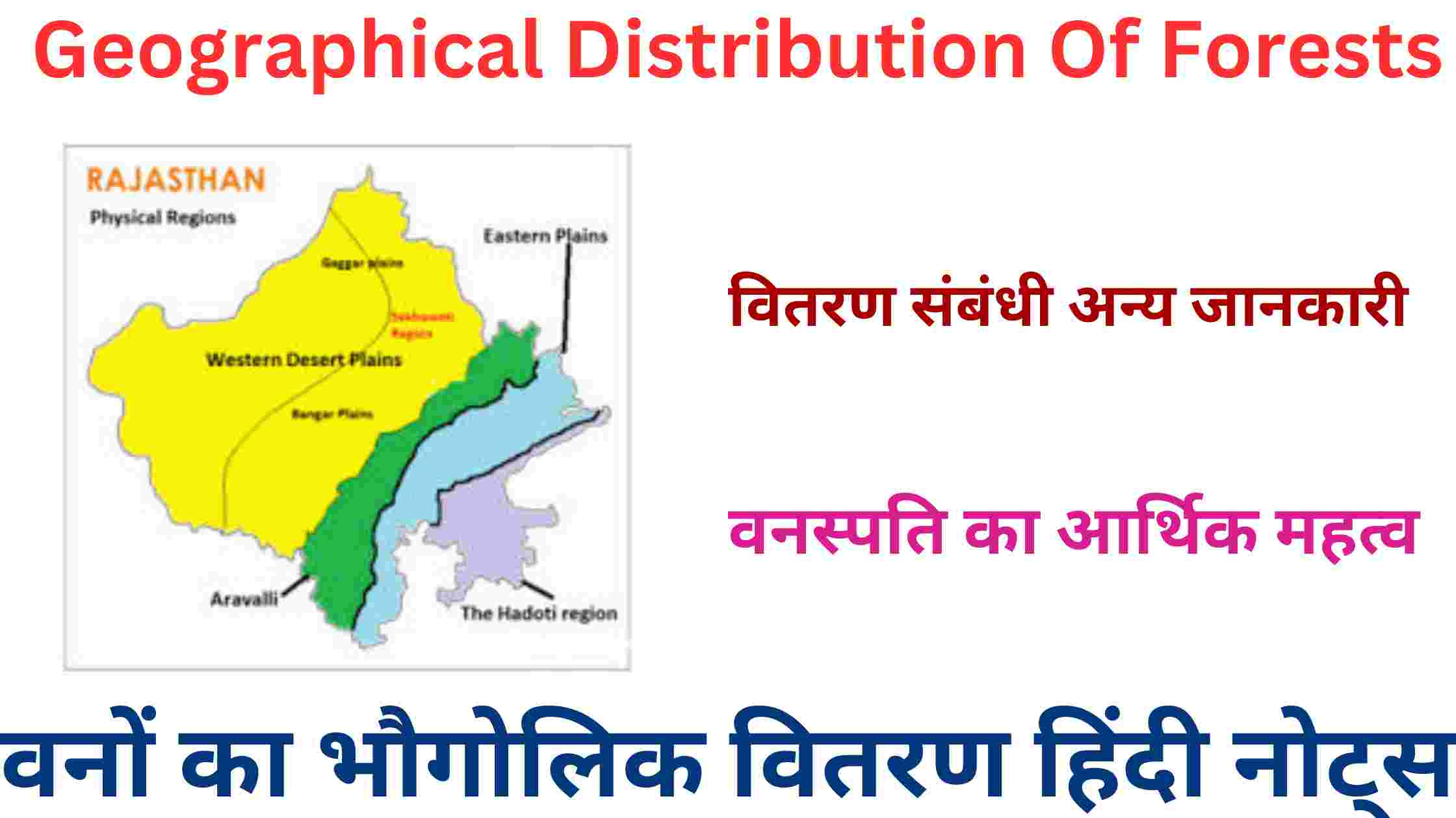 Geographical Distribution Of Forests