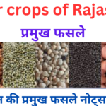 Major Crops Of Rajasthan Part 2