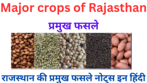 Major crops of Rajasthan