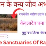 Wildlife Sanctuaries Of Rajasthan