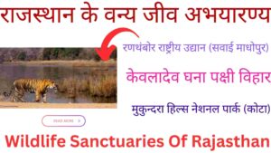 Wildlife Sanctuaries Of Rajasthan