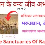 Wildlife Sanctuaries Of Rajasthan Part 2